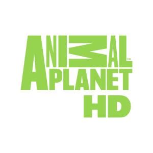 planet chanel|animal planet channel schedule today.